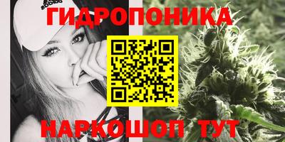 крисы Гусь-Хрустальный