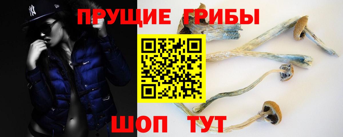 Псилоцибиновые грибы мицелий  Вход с VPN  Псилоцибиновые грибы Psilocybine cubensis  Чапаевск 